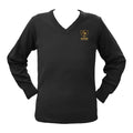 ***PHOENIX MAGNET ACADEMY PULLOVER, ADULT