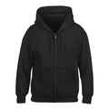 ZIP HOODIE, 4182, ADULT