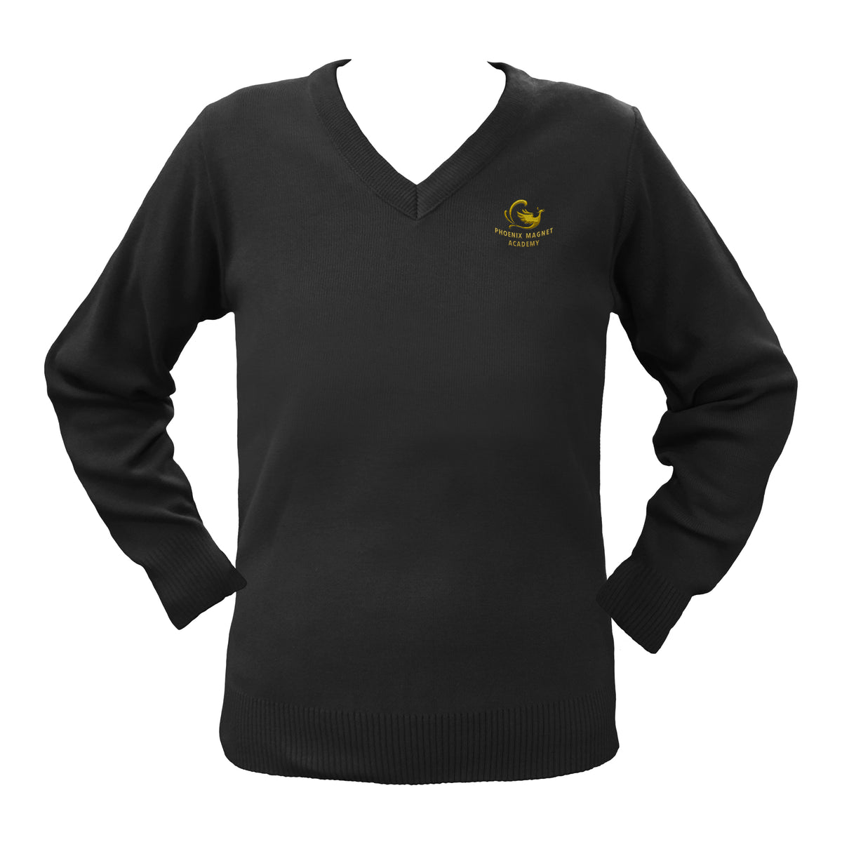 PHOENIX MAGNET ACADEMY PULLOVER, SIZE 34 AND UP