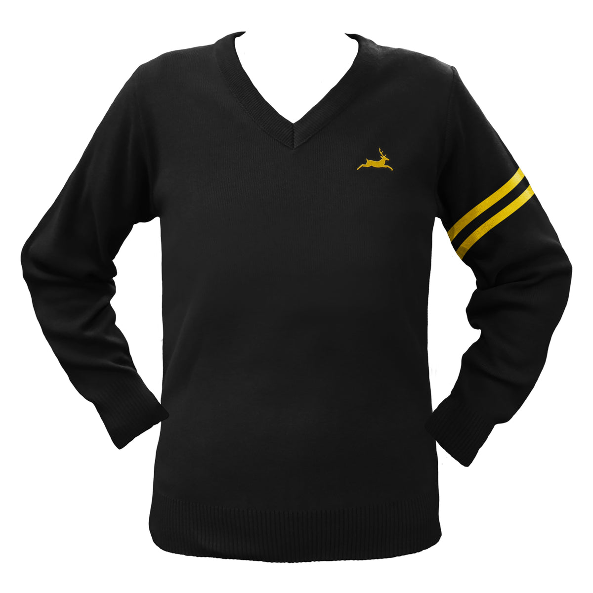 SHAWNIGAN LAKE PULLOVER WITH ARM STRIPES, SIZE 34 AND UP