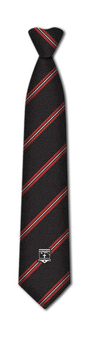ST. THOMAS AQUINAS REGULAR TIE, 100% POLYESTER *FINAL SALE*