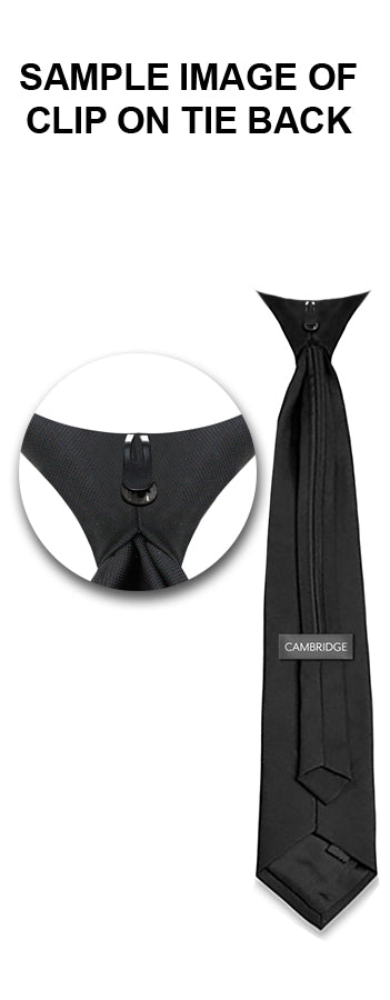 CATHEDRAL CLIP TIE, 100% POLYESTER *FINAL SALE*